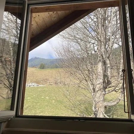 度假居 Alpidyll- Traditionelles Einzelchalet 哈斯利伯格